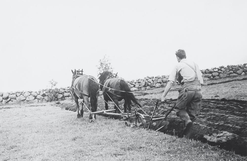 Single-furrow-horse-Plough-1895_1000px