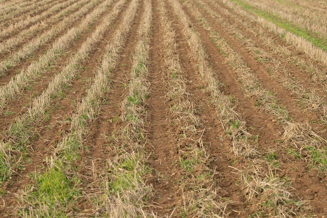 Jack Robinson Kverneland UK Kultistrip Customer