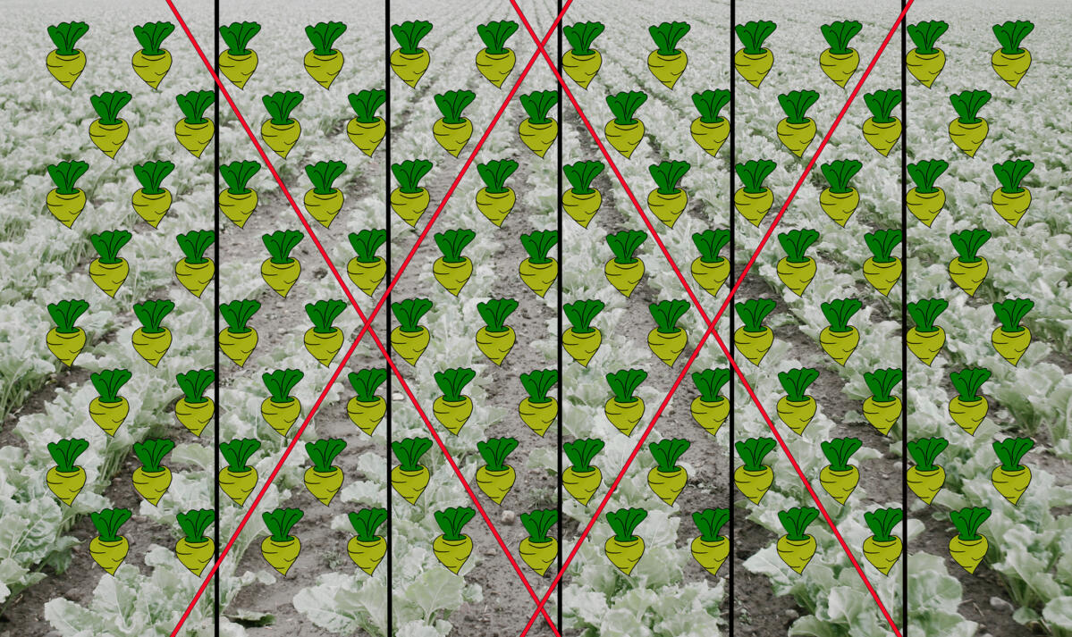 IM_GEOSEED Diamond Pattern_0002